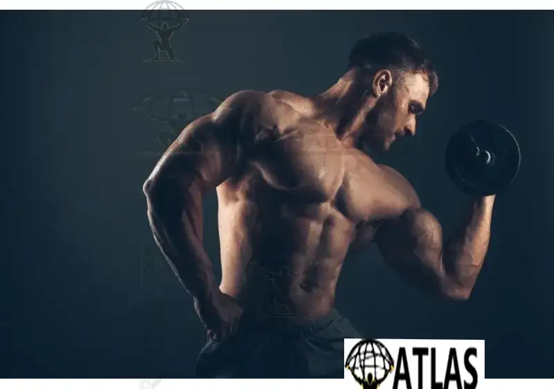 HGH Benefits for Bodybuilding: The Ultimate Science-Backed Guide to Muscle Growth and Recovery