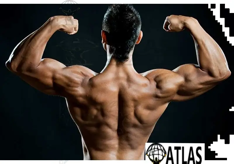 The Complete Bodybuilder's Guide: How to Reduce Estrogen on Steroid Cycle Safely and Effectively