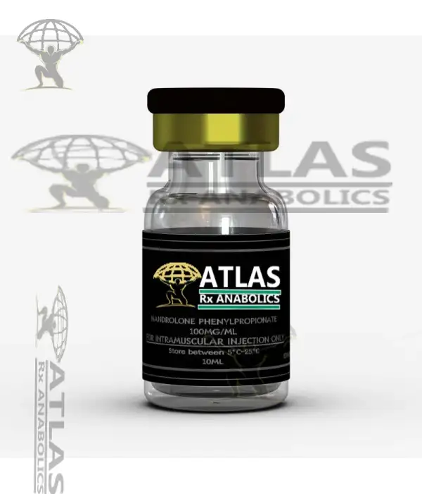 NANDROLONE PHENYLPROPIONATE