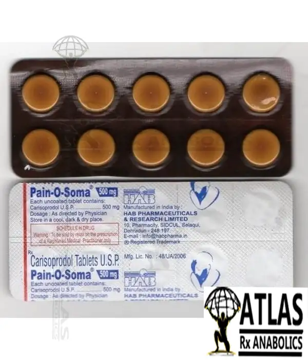 PAIN-O-SOMA CARISOPRODOL 500MGPER TAB