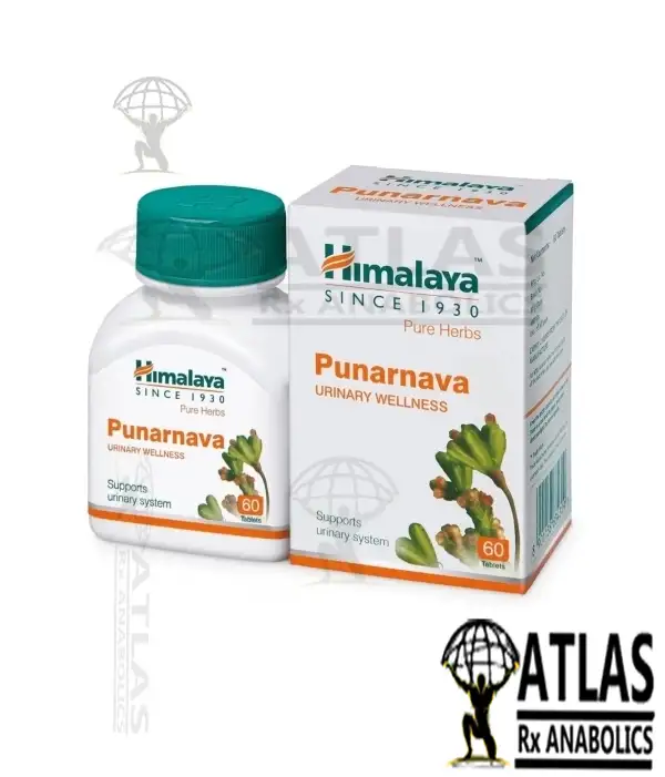 PUNARNAVA – URINARY WELLNESS – 60 TABLETS